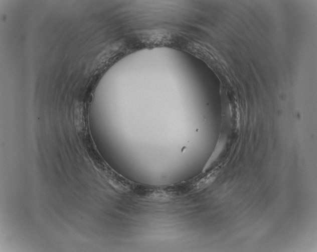 X0000070360416200606301836