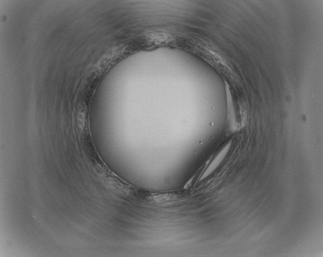 X0000070360417200606301836