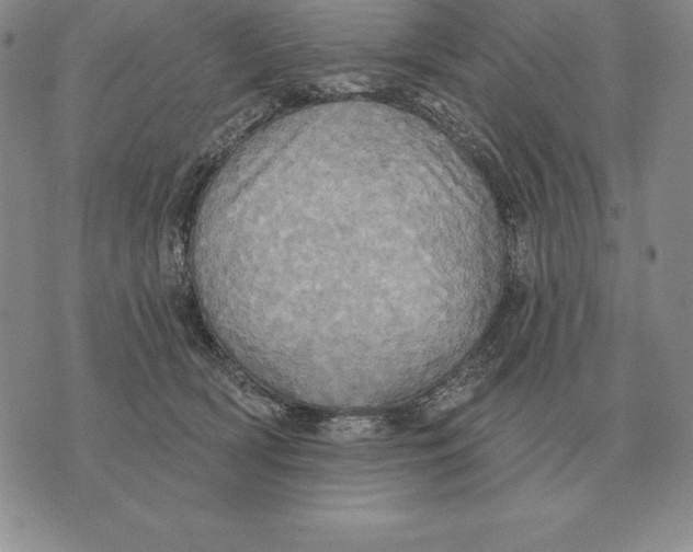 X0000070360418200606301836