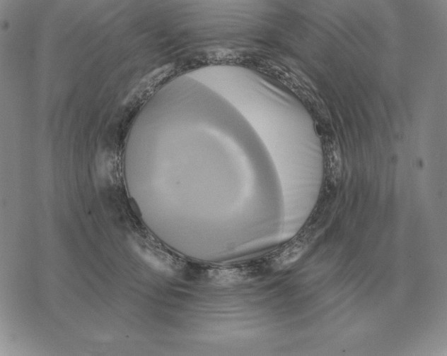 X0000070360419200606301835