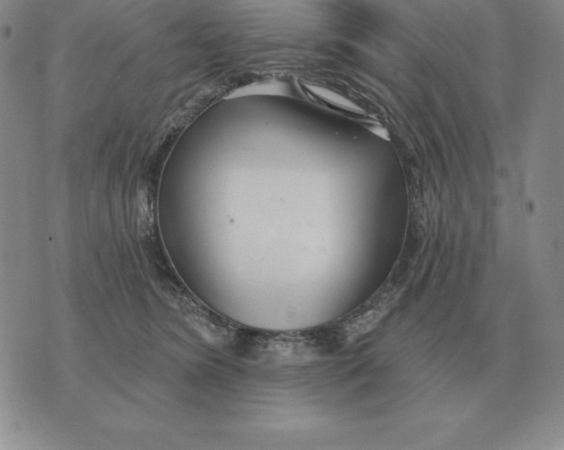 X0000070360420200606301835