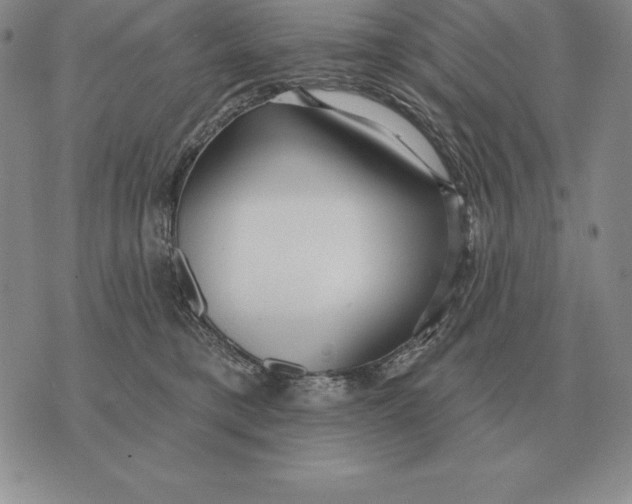 X0000070360421200606301835