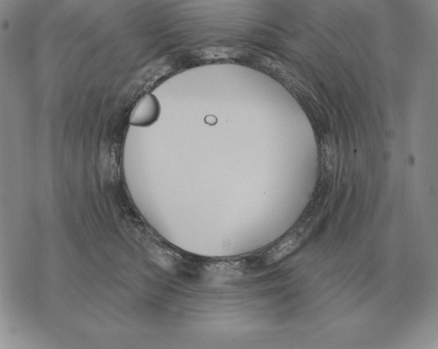 X0000070360422200606301835