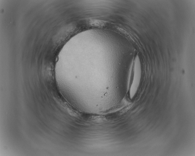 X0000070360424200606301835