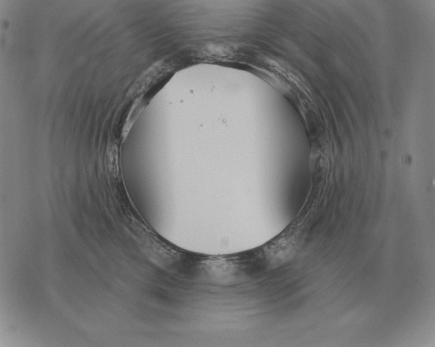 X0000070360425200606301835