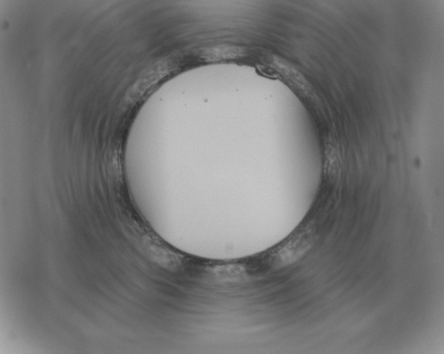 X0000070360426200606301835