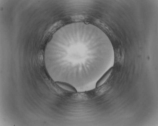 X0000070360427200606301835