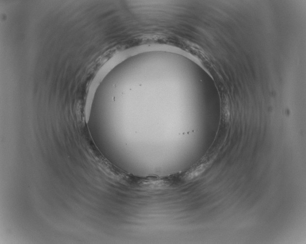 X0000070360428200606301835