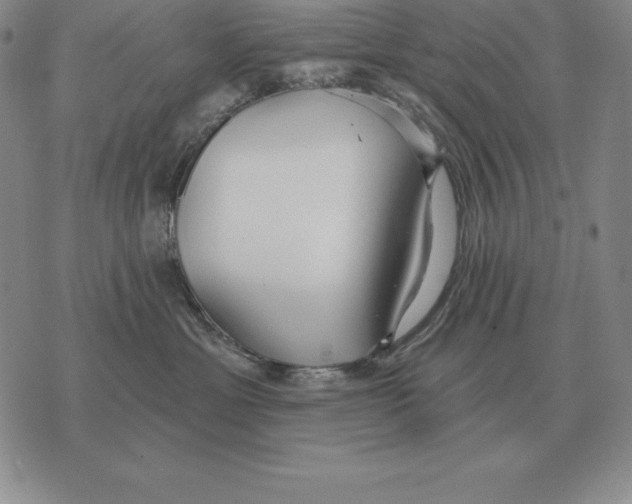 X0000070360429200606301835