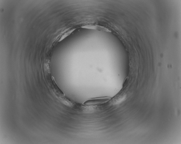 X0000070360432200606301835