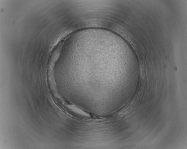 X0000070360434200606301835