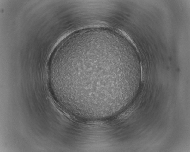 X0000070360435200606301835