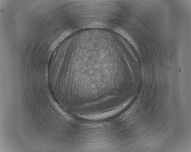 X0000070360437200606301835