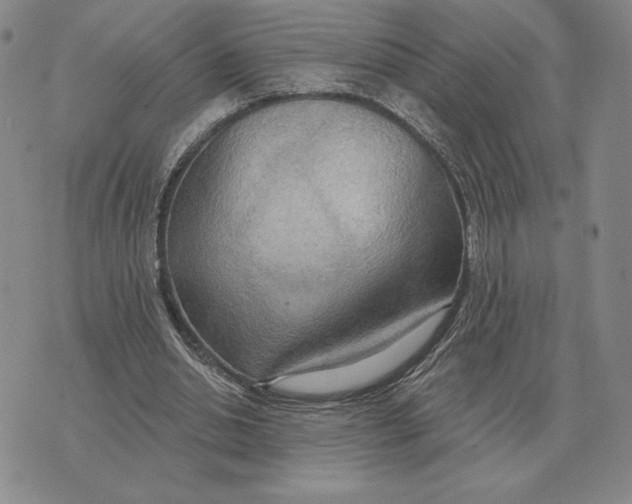 X0000070360438200606301835