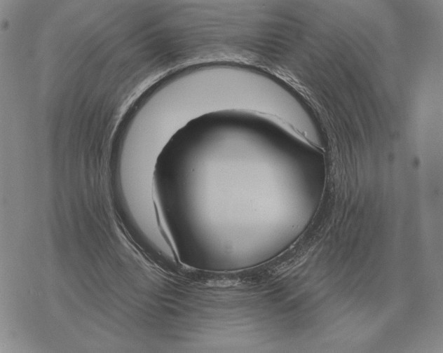 X0000070360440200606301835