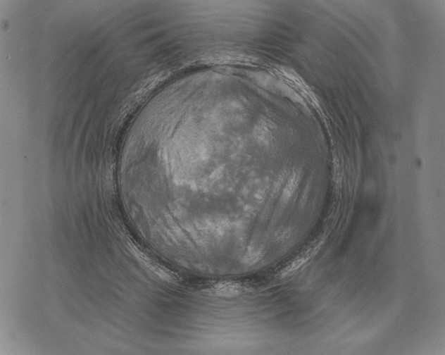 X0000070360441200606301835