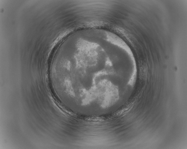 X0000070360443200606301835