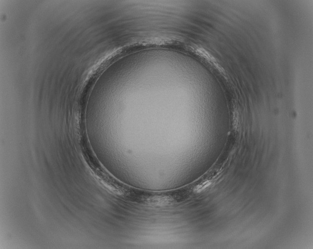 X0000070360444200606301835