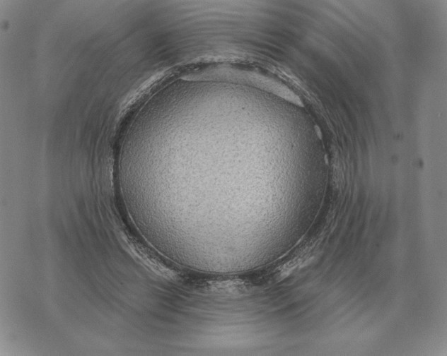 X0000070360446200606301835