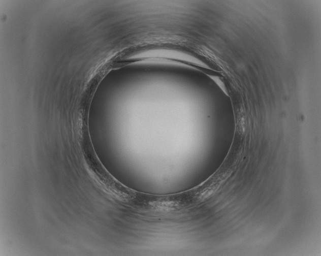 X0000070360448200606301835