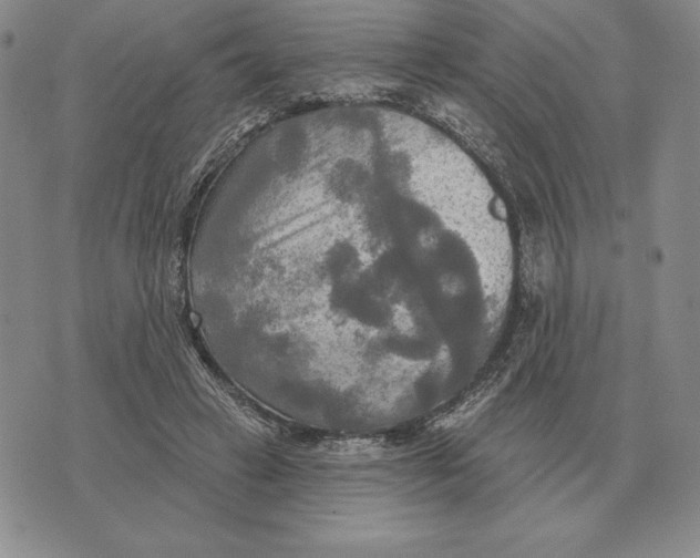 X0000070360449200606301835