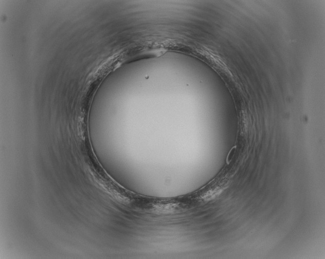 X0000070360450200606301835