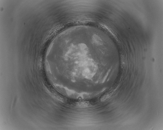 X0000070360451200606301835