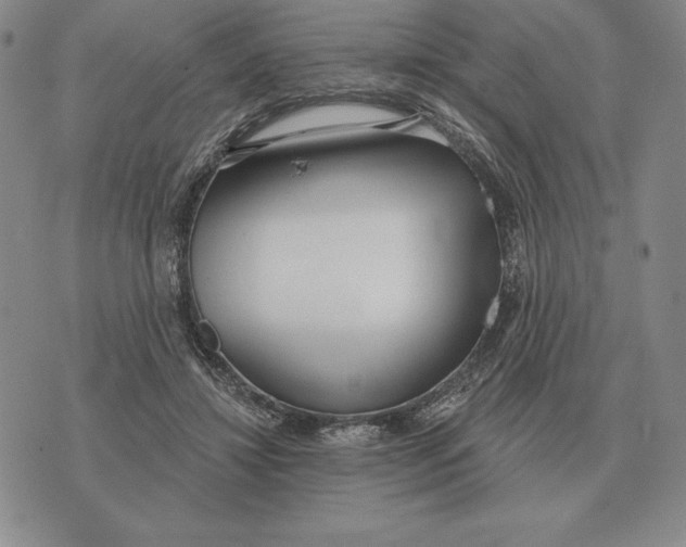 X0000070360452200606301835