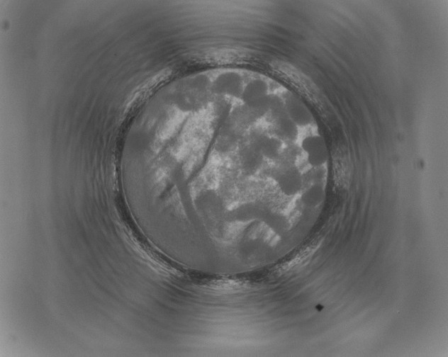 X0000070360453200606301835