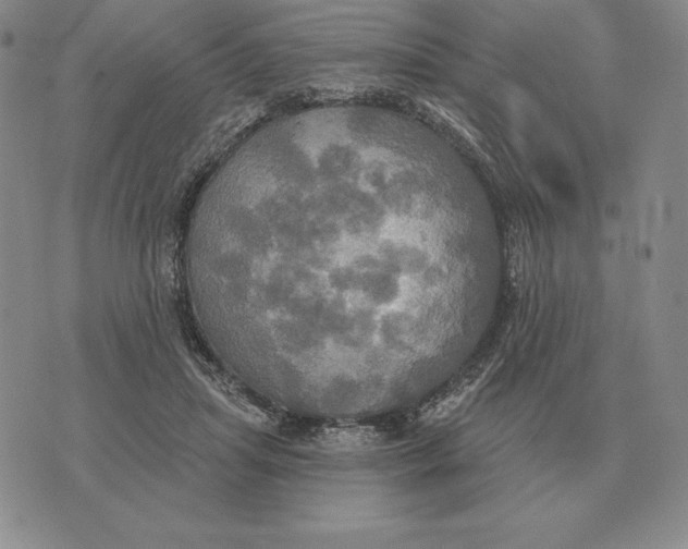 X0000070360455200606301835