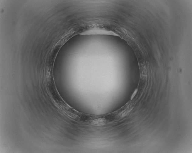 X0000070360456200606301835