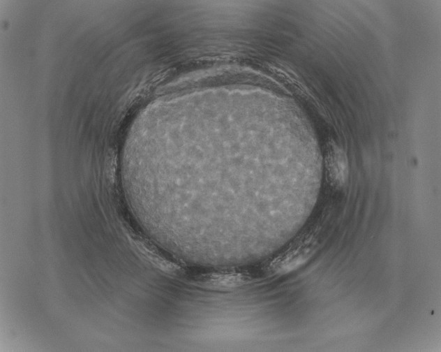 X0000070360458200606301835