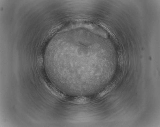 X0000070360459200606301835