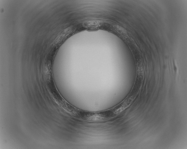 X0000070360460200606301835