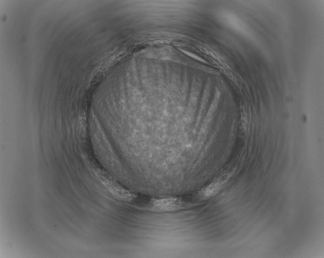 X0000070360461200606301835