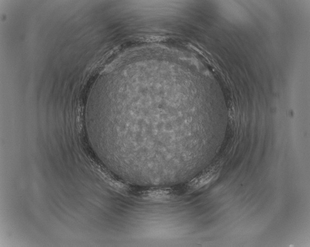 X0000070360462200606301835