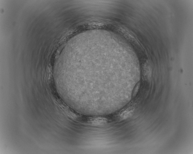 X0000070360463200606301835