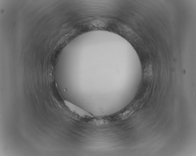 X0000070360464200606301835