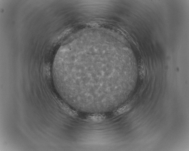 X0000070360466200606301835