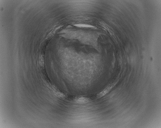 X0000070360467200606301835