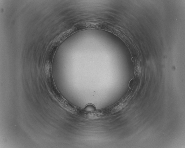 X0000070360468200606301835