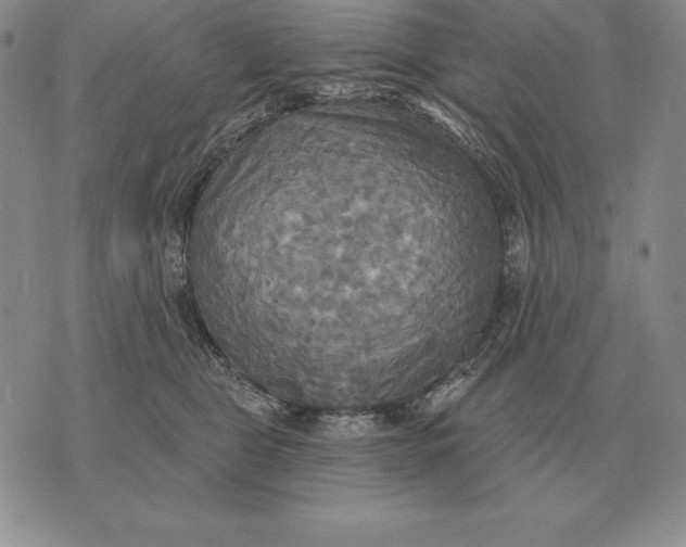 X0000070360469200606301835