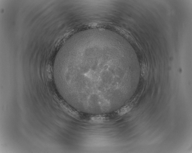 X0000070360470200606301835