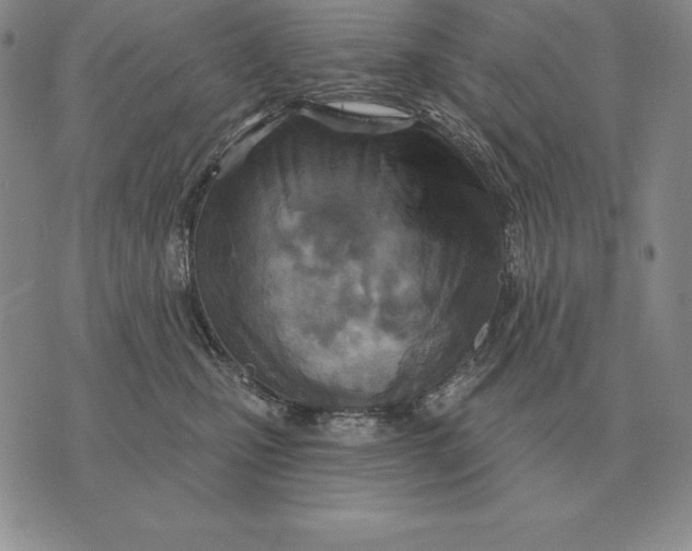 X0000070360471200606301835