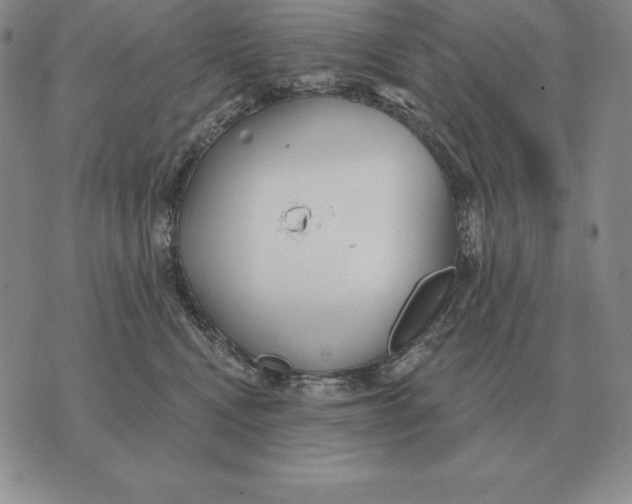 X0000070360472200606301835