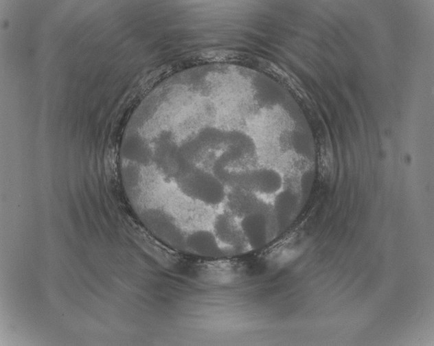 X0000070360473200606301835