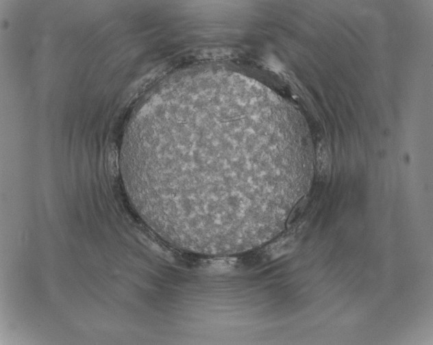 X0000070360474200606301835