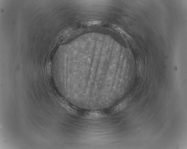 X0000070360475200606301835