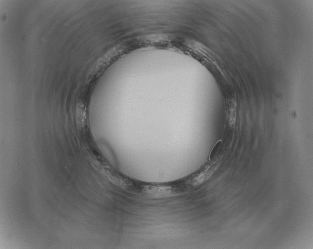 X0000070360476200606301835