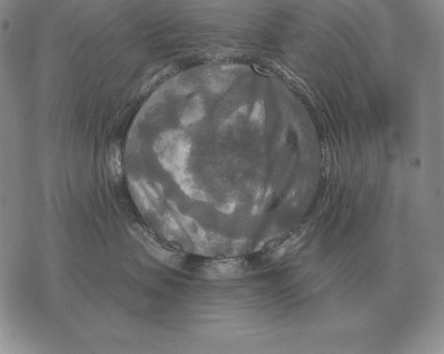 X0000070360479200606301835